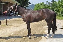 �켺�� (USEONGRYUNG) ����