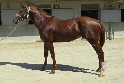 ����Ƽ�� ����