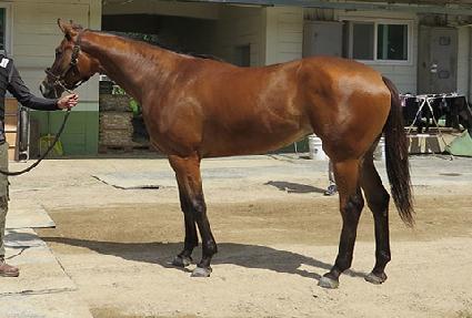 ���ں�Ƽ ����