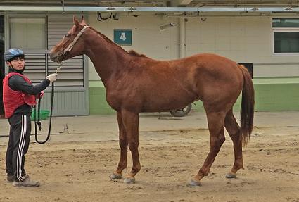 ������Ʈź ����