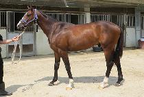 �����Ʈ�� (RAON HIT MAN) ����