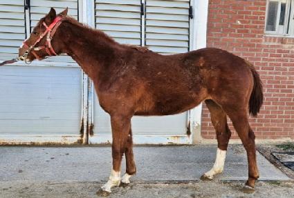 �Ŀ�Ǯ���� ����