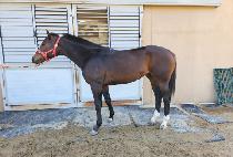 �Ѱ�Ŭ���� (HANGANG CLASS) ����