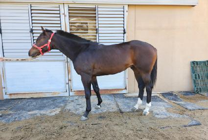 �Ѱ�Ŭ���� ����