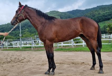 ��ī�̿��� ����