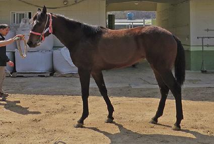 �������� ����