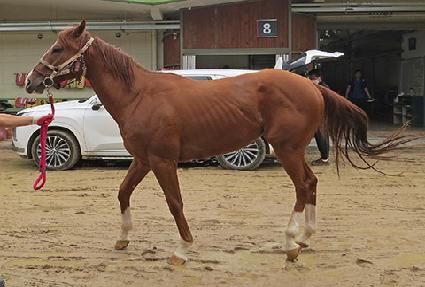 �������� ����