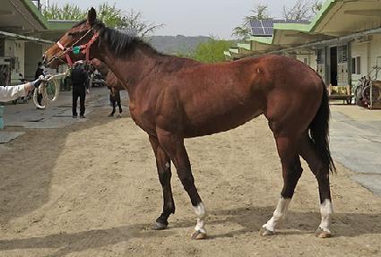 ���ν�Ÿ ����