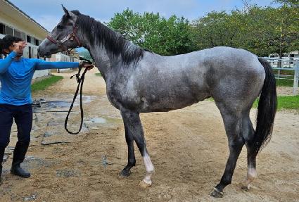 ��Ÿ�������� ����