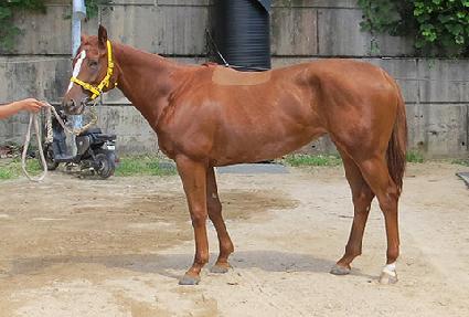 ����ũ���� ����