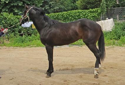 õ��ê ����