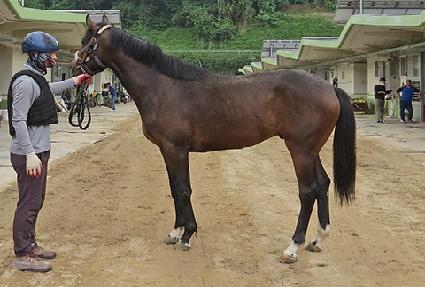 õ��ê ����