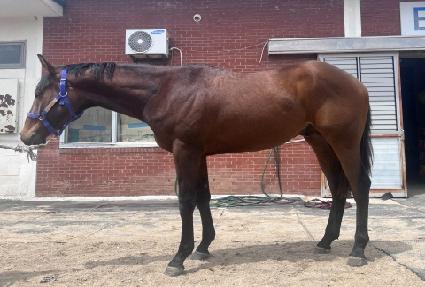 ��Ʈ���̵��� ����