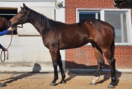 ����Ƽ��� ����