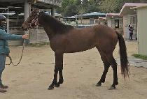 �뼺������ (DAESEONG SUNSHINE) ����