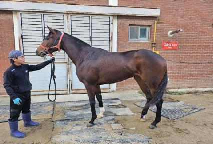 ���̼��� ����