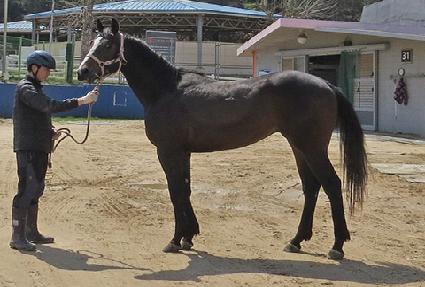 ���Ѵ��� ����