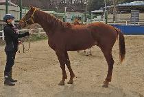 ����븶 (DAEWONYONGMA) ����