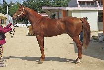 �ż��ݰ� (GEOSEN BANGYEOK) ����