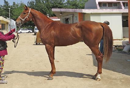 �ż��ݰ� ����