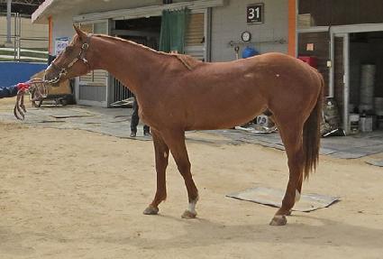 ������� ����