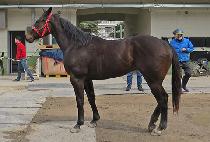 JANGGUN MARU picture