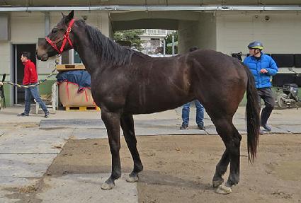 �屺���� ����