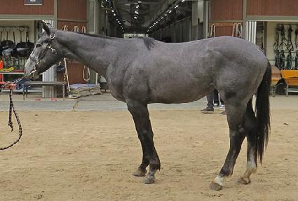 ����õ�� ����