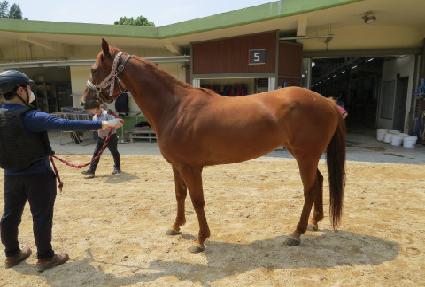 �������� ����