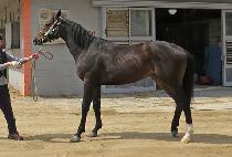 ������ڵ� (USEUNG CONCORD) ����