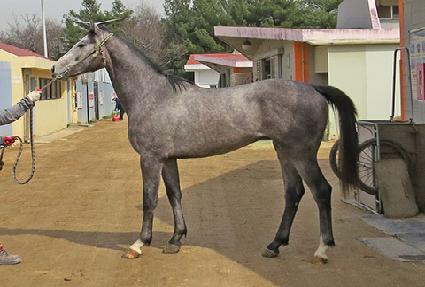 ������Ʈ ����