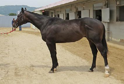 ����Ŭ�� ����