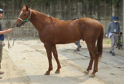 ����Ŭ�н�Ÿ ����