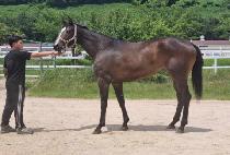 ���ɽ�ī�� (BORYEONG SKY) ����