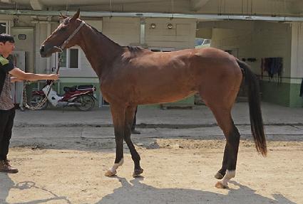 ������Ծ� ����