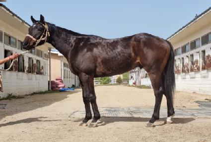 ŷ������ ����