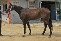 õ������ (CHEONMAPYEONGJEONG) ����