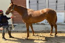 �극��ũ�ƿ� (BREAK OUT) ����