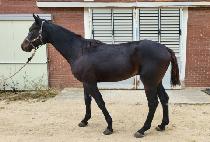 SINCHUL YEONGUNG picture