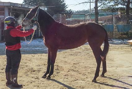 ������ ����