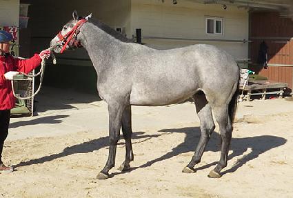 ���� ����