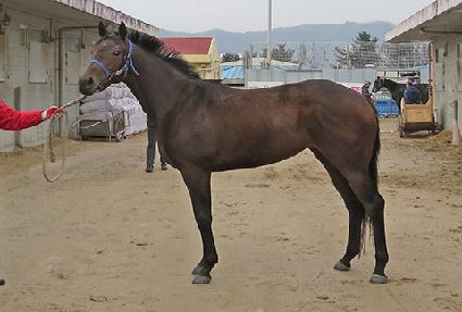 ���ٰ� ����