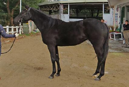 ���̵���� ����