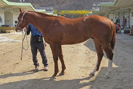 ����÷��� ����