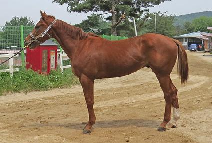 Ʈ���ŷ ����