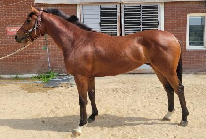 ������ ����