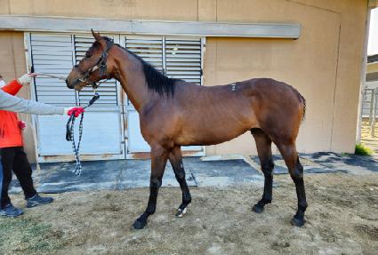 �����ϸ� ����