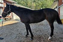 ���ֺ� (JINJU BIT) ����