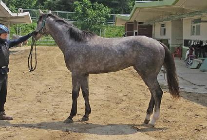 ���弨�ͽ� ����