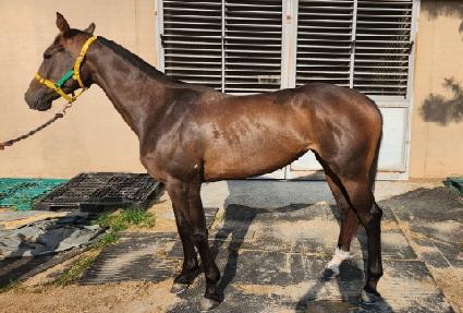 �����̿����� ����